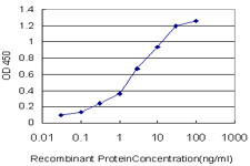 IL8 Antibody in ELISA (ELISA)