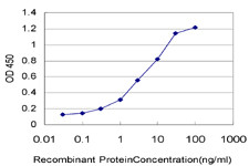 IL8 Antibody in ELISA (ELISA)