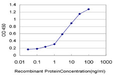 IL8 Antibody in ELISA (ELISA)