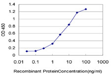 IL8 Antibody in ELISA (ELISA)