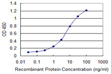 INPP5A Antibody in ELISA (ELISA)