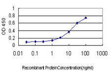 INSRR Antibody in ELISA (ELISA)