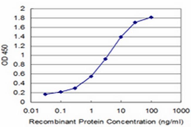 KAL1 Antibody in ELISA (ELISA)