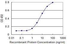 KCNA1 Antibody in ELISA (ELISA)