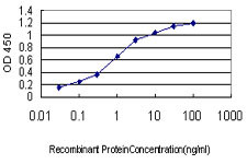 KCNA3 Antibody in ELISA (ELISA)