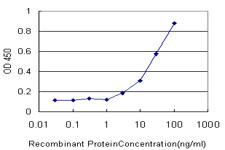 KCNE1 Antibody in ELISA (ELISA)