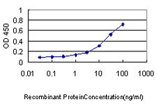 KHK Antibody in ELISA (ELISA)