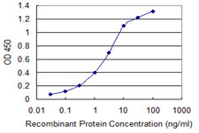 KIT Antibody in ELISA (ELISA)