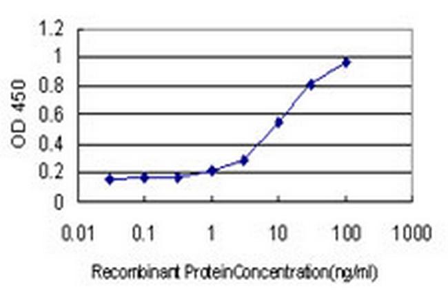 LAMC1 Antibody in ELISA (ELISA)