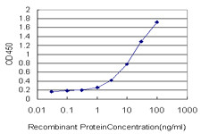 LAMC1 Antibody in ELISA (ELISA)