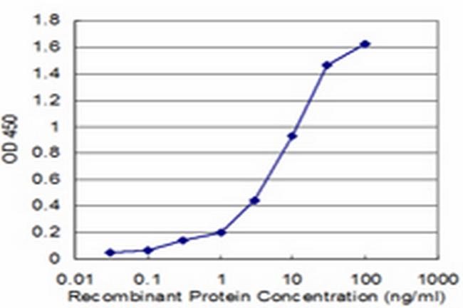 LDHB Antibody in ELISA (ELISA)