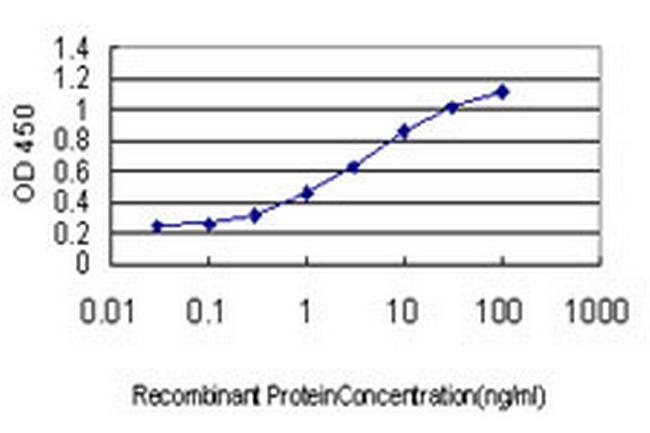 LEP Antibody in ELISA (ELISA)