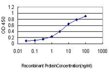 LEP Antibody in ELISA (ELISA)