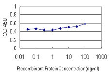 LIPA Antibody in ELISA (ELISA)