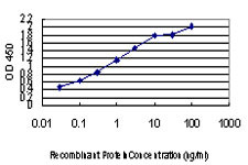 LLGL2 Antibody in ELISA (ELISA)