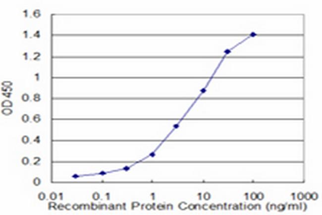 NBR1 Antibody in ELISA (ELISA)