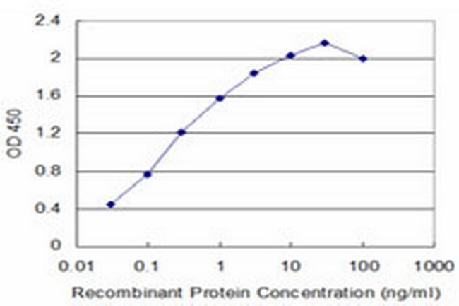 NBR1 Antibody in ELISA (ELISA)