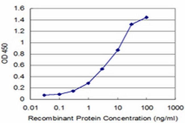 NBR1 Antibody in ELISA (ELISA)