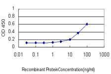 SMAD1 Antibody in ELISA (ELISA)