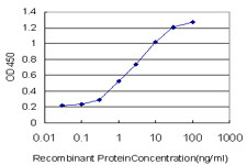 SMAD3 Antibody in ELISA (ELISA)