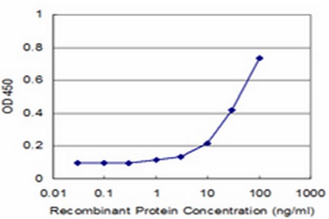 MAGEA1 Antibody in ELISA (ELISA)