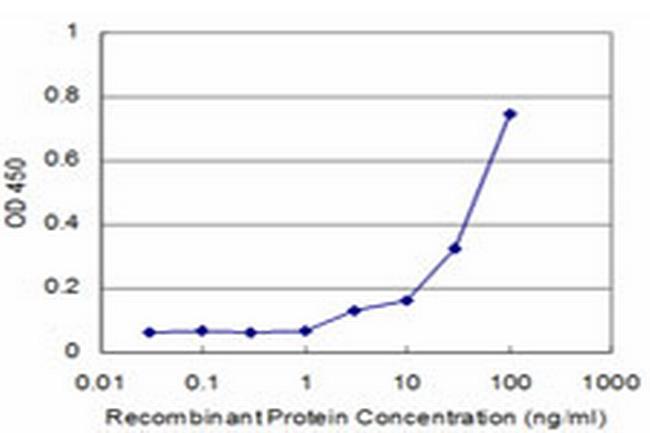 MAZ Antibody in ELISA (ELISA)