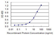 MBD1 Antibody in ELISA (ELISA)