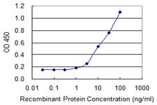 MBNL1 Antibody in ELISA (ELISA)