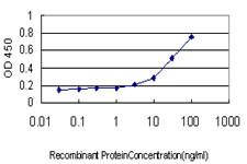 ME1 Antibody in ELISA (ELISA)