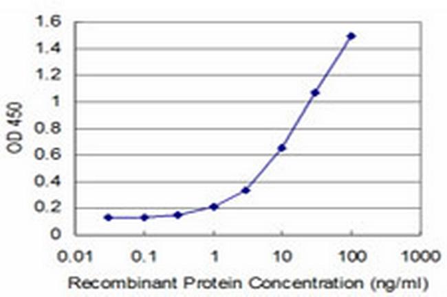 MEF2A Antibody in ELISA (ELISA)