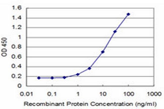 MEF2A Antibody in ELISA (ELISA)