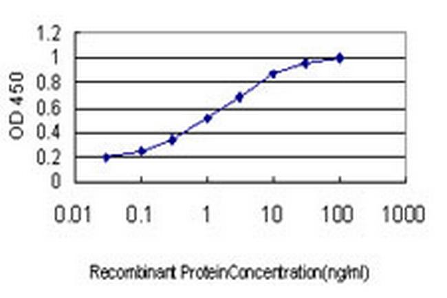 MAP3K4 Antibody in ELISA (ELISA)