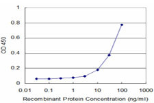 MEOX2 Antibody in ELISA (ELISA)