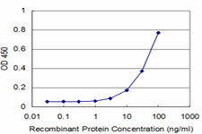 MEOX2 Antibody in ELISA (ELISA)