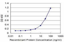 MEOX2 Antibody in ELISA (ELISA)