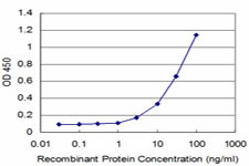 MEOX2 Antibody in ELISA (ELISA)