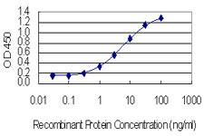 MMP3 Antibody in ELISA (ELISA)