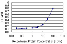 MMP3 Antibody in ELISA (ELISA)