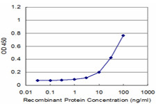 MMP3 Antibody in ELISA (ELISA)