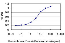 MPG Antibody in ELISA (ELISA)