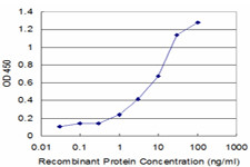 NUDT1 Antibody in ELISA (ELISA)