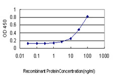 MUTYH Antibody in ELISA (ELISA)