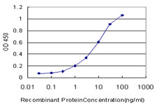 MYOG Antibody in ELISA (ELISA)