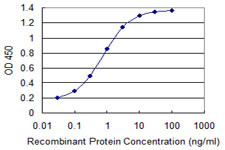 NDUFA8 Antibody in ELISA (ELISA)