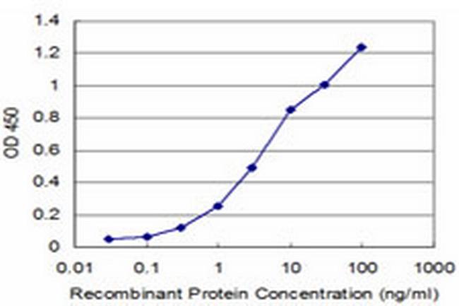 NEK2 Antibody in ELISA (ELISA)