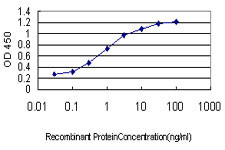 NEUROD1 Antibody in ELISA (ELISA)