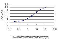 NEUROD1 Antibody in ELISA (ELISA)