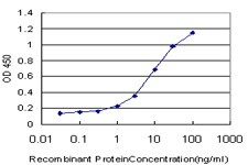 NFIA Antibody in ELISA (ELISA)