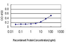 NFKBIB Antibody in ELISA (ELISA)