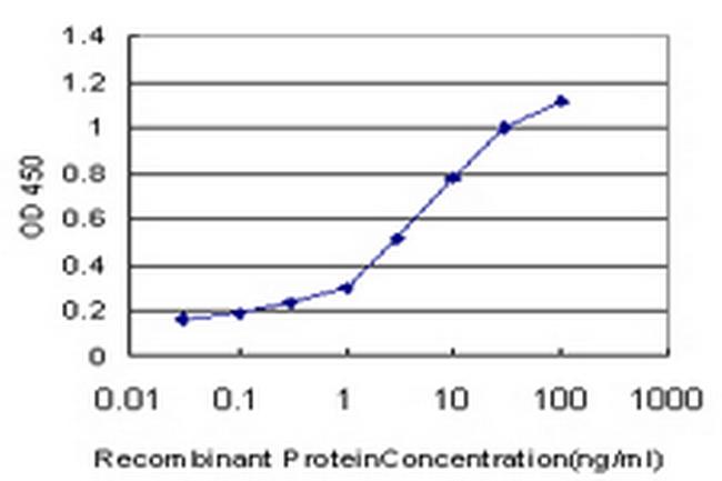 NFYB Antibody in ELISA (ELISA)